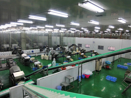 220L Aseptic Bag Packing Mango Pulp Production Line 2t/H
