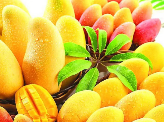 220L Aseptic Bag Packing Mango Pulp Production Line 2t/H