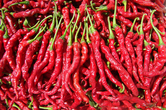 Fresh Chili Pepper Suace Fruit And Vegetable Processing Line Automatic