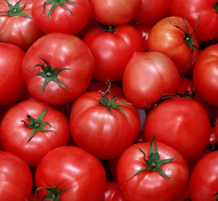 Cadena de producción automática de la salsa de tomate de tomate 6,5 toneladas por hora