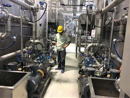 220L Aseptic Bag Packing Mango Pulp Production Line 2t/H