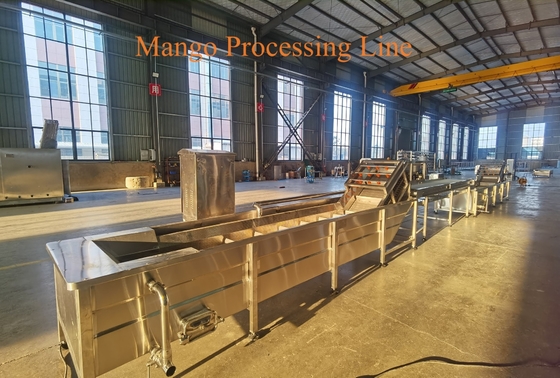 1-3 ton/h Mango Pretreating Line Aseptic Bag Bottle Mango Pulp Processing Machinery