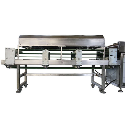 Línea de producción de tortillas de 50 Hz equipada para la fabricación de tortillas en plantas de procesamiento de alimentos