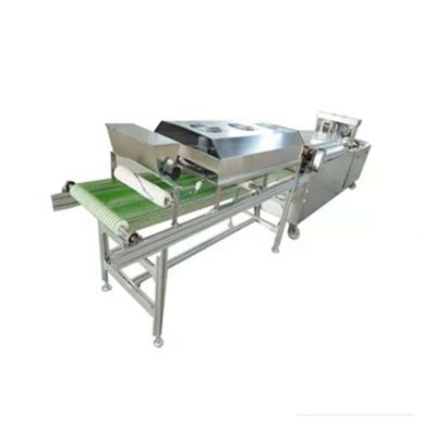 Máquina de tortilla comercial de plata de grado automático automático de fila única
