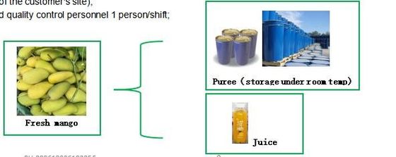 cadena de producción del puré del mango del embalaje del bolso de 220L Aspetic 3 toneladas por hora