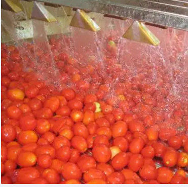Línea de transformación automática de la pasta de tomate velocidad