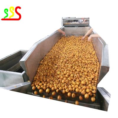 Cadena de producción concentrada de la pulpa de la fruta para las frambuesas de las fresas de Blueberrues