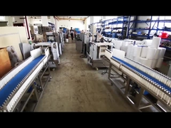 Paratha production line overview