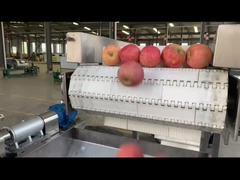 Línea de procesamiento de frutas de grado alimenticio de acero inoxidable con embalaje automático de bolsas